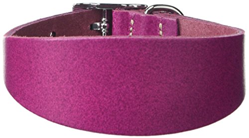 BBD Pet Products Italian G. Hundehalsband, Einheitsgröße, 1,27 x 25,4 bis 30,5 cm, Boysenberry von BBD Pet Products