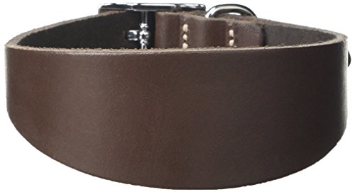 BBD Pet Products Italian G. Hundehalsband, Einheitsgröße, 1,27 x 25,4 bis 30,5 cm, Braun von BBD Pet Products