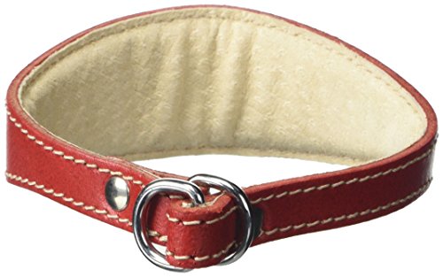 BBD Pet Products Italian G. Hundehalsband, Einheitsgröße, 1,27 x 25,4 bis 30,5 cm, Rot von BBD Pet Products