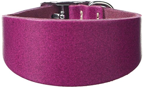 BBD Pet Products Italian G. Hundehalsband, Einheitsgröße, 1,3 x 20,3 cm bis 25,4 cm, Boysenberry von BBD Pet Products