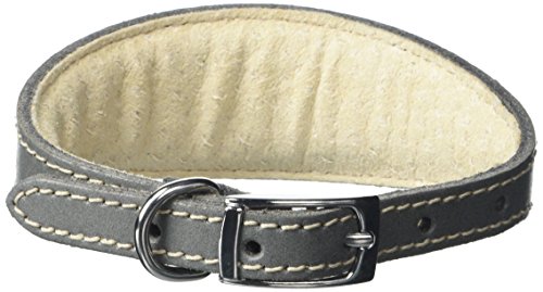 BBD Pet Products Italienisches Hundehalsband, Einheitsgröße, 1,27 x 25,4 bis 30,5 cm, Grau von BBD Pet Products