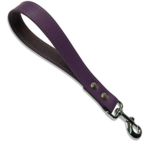 BBD Pet Products Leder-Griff, Einheitsgröße, 2,5 x 27,9 cm, Violett von BBD Pet Products