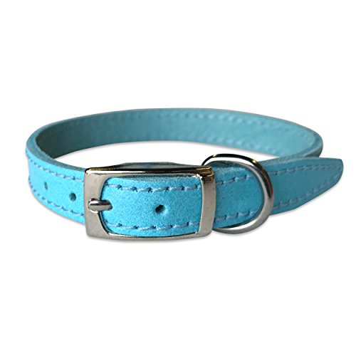 BBD Pet Products Lederhalsband, einfarbig, 1,27 x 25,4 bis 30,5 cm, Einheitsgröße, Blau von BBD Pet Products