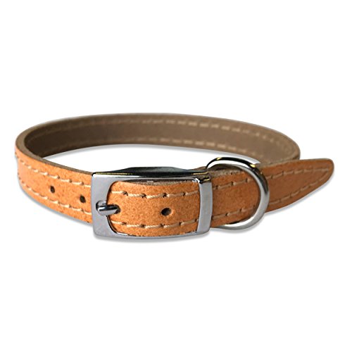 BBD Pet Products Lederhalsband, einfarbig, 1,27 x 25,4 bis 30,5 cm, Einheitsgröße, Hellbraun von BBD Pet Products