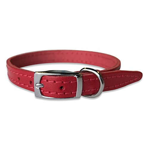 BBD Pet Products Lederhalsband, einfarbig, 1,27 x 25,4 bis 30,5 cm, Einheitsgröße, Rot von BBD Pet Products