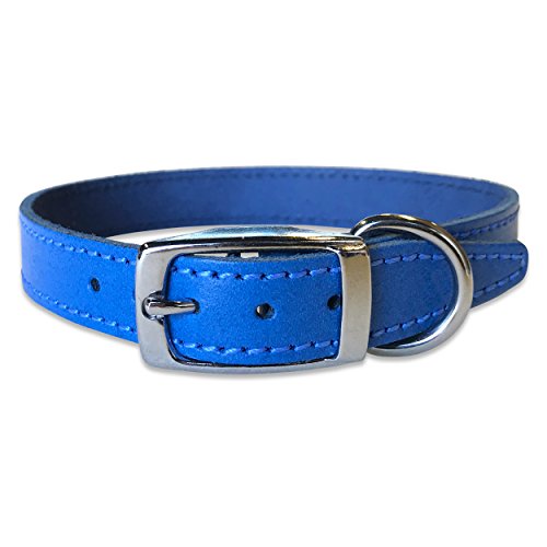 BBD Pet Products Lederhalsband, einfarbig, 1,9 x 35,6 bis 40,6 cm, Einheitsgröße, Königsblau von BBD Pet Products