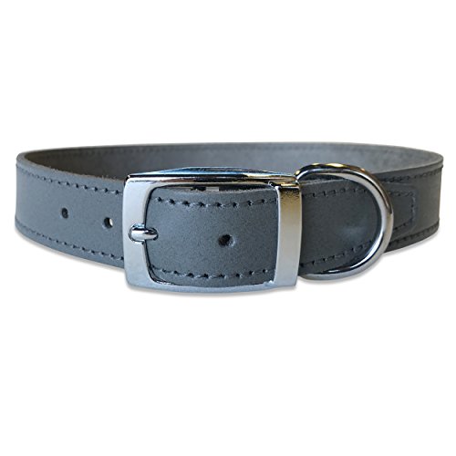 BBD Pet Products Lederhalsband, einfarbig, 2,5 x 45,7 bis 53,3 cm, Einheitsgröße, Grau von BBD Pet Products