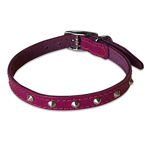 BBD Pet Products Lederhalsband mit Nieten, 1,27 x 30,5 bis 35,6 cm, Einheitsgröße, Boysenberry von BBD Pet Products