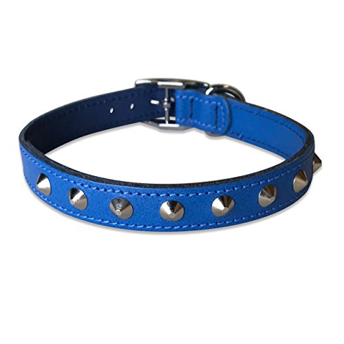 BBD Pet Products Lederhalsband mit Nieten, 1,9 x 40,6 bis 45,7 cm, Einheitsgröße, Königsblau von BBD Pet Products