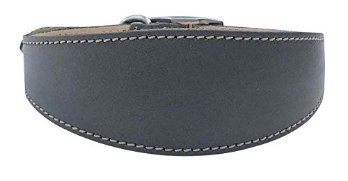 BBD Pet Products Lurcher Halsband, Einheitsgröße, 1,9 x 40,6 bis 45,7 cm, Grau von BBD Pet Products