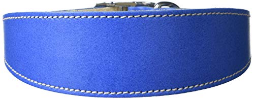 BBD Pet Products Lurcher Halsband, Einheitsgröße, 1,9 x 40,6 bis 45,7 cm, Königsblau von BBD Pet Products