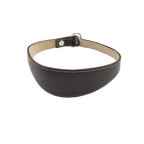 BBD Pet Products Lurcher Schlupfhalsband, Einheitsgröße, 1,9 x 40,6 cm bis 45,7 cm, Braun von BBD Pet Products