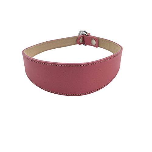 BBD Pet Products Lurcher Schlupfhalsband, Einheitsgröße, 1,9 x 40,6 cm bis 45,7 cm, Rosa von BBD Pet Products