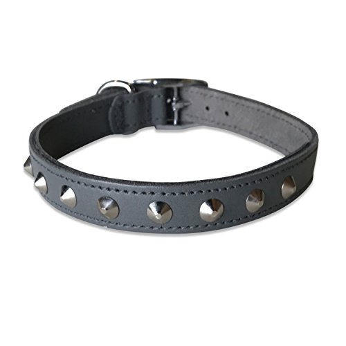 BBD Pet Products Nietenhalsband, Leder, 1,9 x 40,6 bis 45,7 cm, Einheitsgröße, Grau von BBD Pet Products