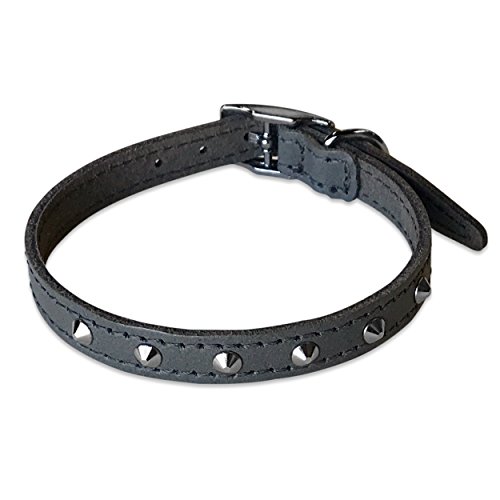 BBD Pet Products Nietenhalsband aus Leder, 1,27 x 30,5 bis 35,6 cm, Einheitsgröße, Grau von BBD Pet Products