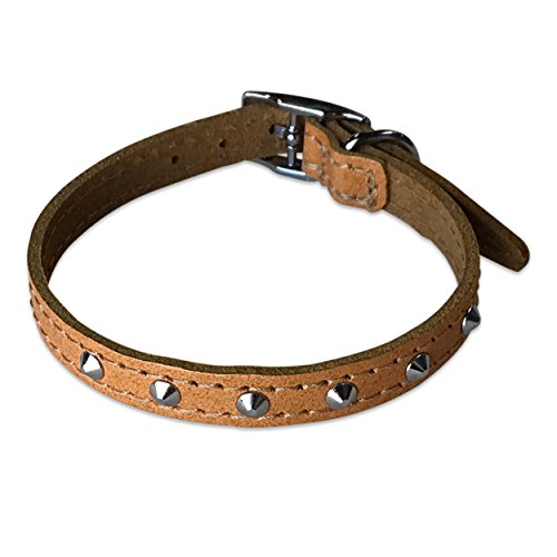 BBD Pet Products Nietenhalsband aus Leder, 1,27 x 30,5 bis 35,6 cm, Einheitsgröße, Hellbraun von BBD Pet Products