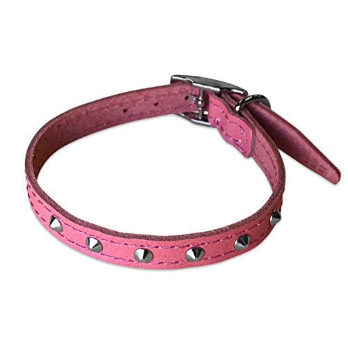 BBD Pet Products Nietenhalsband aus Leder, 1,27 x 30,5 bis 35,6 cm, Einheitsgröße, Rosa von BBD Pet Products