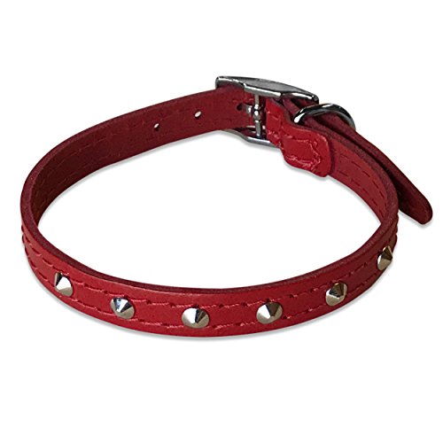 BBD Pet Products Nietenhalsband aus Leder, 1,27 x 30,5 bis 35,6 cm, Einheitsgröße, Rot von BBD Pet Products