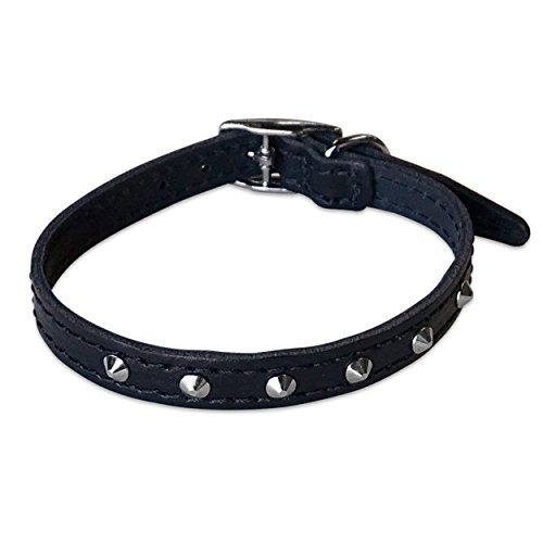 BBD Pet Products Nietenhalsband aus Leder, 1,27 x 30,5 bis 35,6 cm, Einheitsgröße, Schwarz von BBD Pet Products