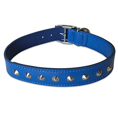 BBD Pet Products Nietenhalsband aus Leder, 2,5 x 53,3 bis 61 cm, Einheitsgröße, Königsblau von BBD Pet Products