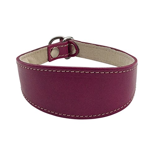 BBD Pet Products Schlupfhalsband für Windhunde, Einheitsgröße, 1,9 x 35,6 cm bis 40,6 cm, Boysenberry von BBD Pet Products