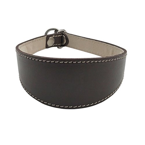 BBD Pet Products Schlupfhalsband für Windhunde, Einheitsgröße, 1,9 x 35,6 cm bis 40,6 cm, Braun von BBD Pet Products