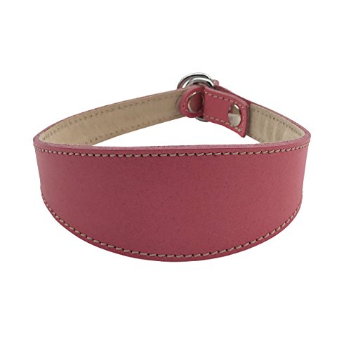 BBD Pet Products Schlupfhalsband für Windhunde, Einheitsgröße, 1,9 x 35,6 cm bis 40,6 cm, Rosa von BBD Pet Products