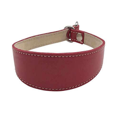 BBD Pet Products Schlupfhalsband für Windhunde, Einheitsgröße, 1,9 x 35,6 cm bis 40,6 cm, Rot von BBD Pet Products