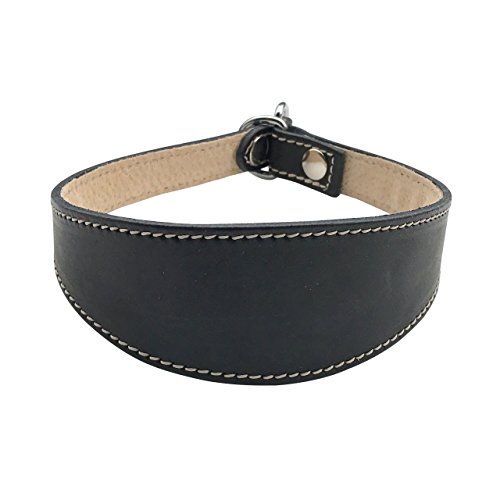 BBD Pet Products Schlupfhalsband für Windhunde, Einheitsgröße, 1,9 x 35,6 cm bis 40,6 cm, Schwarz von BBD Pet Products