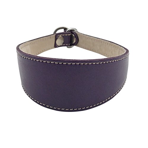 BBD Pet Products Schlupfhalsband für Windhunde, Einheitsgröße, 1,9 x 35,6 cm bis 40,6 cm, Violett von BBD Pet Products