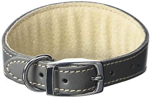 BBD Pet Products Whippet-Halsband, Einheitsgröße, 1,9 x 25,4 bis 30,5 cm, Grau von BBD Pet Products