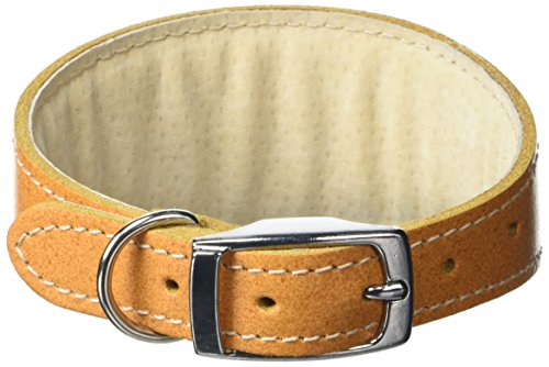 BBD Pet Products Whippet-Halsband, Einheitsgröße, 1,9 x 25,4 bis 30,5 cm, Hellbraun von BBD Pet Products