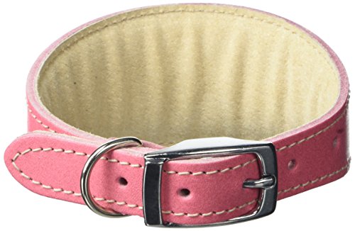 BBD Pet Products Whippet Halsband, Einheitsgröße, 1,9 x 25,4 bis 30,5 cm, Rosa von BBD Pet Products