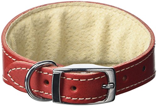 BBD Pet Products Whippet-Halsband, Einheitsgröße, 1,9 x 25,4 bis 30,5 cm, Rot von BBD Pet Products