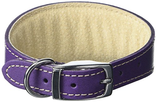 BBD Pet Products Whippet Halsband, Einheitsgröße, 1,9 x 25,4 bis 30,5 cm, Violett von BBD Pet Products