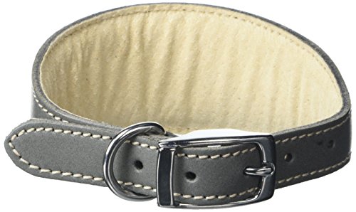 BBD Pet Products Whippet-Halsband, Einheitsgröße, 1,9 x 30,5 cm bis 35,6 cm, Grau von BBD Pet Products