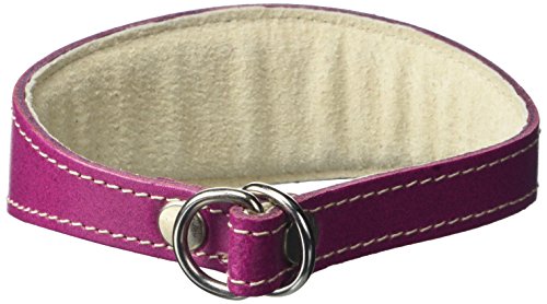 BBD Pet Products Whippet Slip-Halsband, Einheitsgröße, 1,9 x 30,5 bis 35,6 cm, Boysenberry von BBD Pet Products