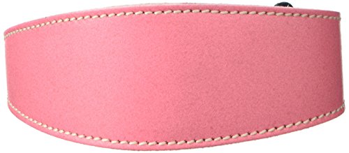 BBD Pet Products Whippet Schlupfhalsband, Einheitsgröße, 1,9 x 30,5 bis 35,6 cm, Pink von BBD Pet Products