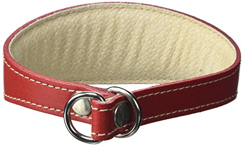 BBD Pet Products Whippet Schlupfhalsband, Einheitsgröße, 1,9 x 30,5 bis 35,6 cm, Rot von BBD Pet Products