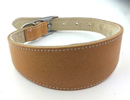 BBD Whippet Deluxe-Halsband, 30,5–35,6 cm, Hellbraun, 1 Stück von BBD Pet Products