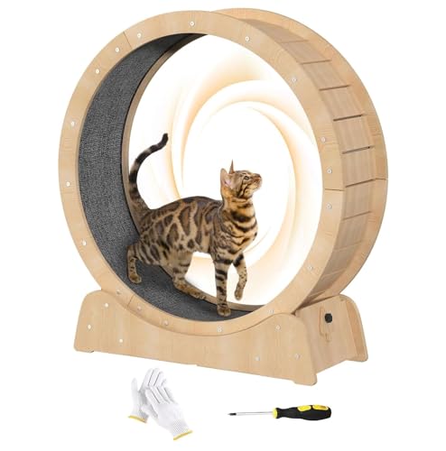 BBTEQEKN Katzenlaufrad, Katzen laufrad für Katzen 90cm, Katzenspielzeug für Wohnungskatzen, 90x120x85cm Laufrad Katzen, Abnehmbare Innenmatte Cat Wheel Geeignet für mit einem Gewicht von 8kg bis 14kg von BBTEQEKN