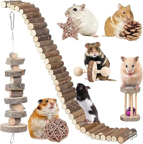 Hamster Spielzeug Hamster Zubehör Meerschweinchen Kauspielzeug Chinchilla Käfig Zubehör Lange Leiter Brücke Weidenball Spielset für Zwerg Syrische Chinchillas Rennmäuse Mäuse Maus von BBjinronjy