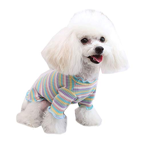 Regenbogen Sweater für Kleine Hunde Katze, BBring Stricken Hundepullover Rüschen Hundeweste Gestreift Bunt Haustier Hunde Bekleidung Warm Winterpullover für Hündchen Kätzchen (XL, Blau) von BBring