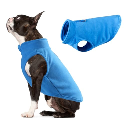 Haustier Kleidung, Hundekleidung, verdickte Feste Farbe, Fleece Haustier Hund Zubehör(blau,Eine Zahlung) von BCHAZCDE