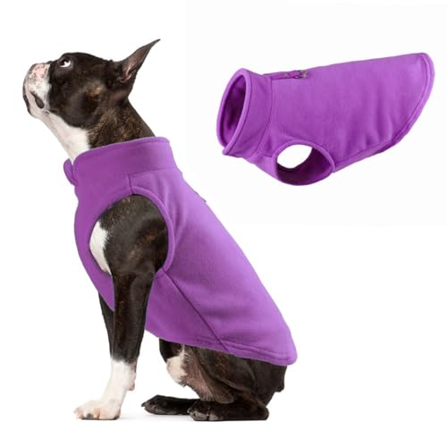 Haustier Kleidung, Hundekleidung, verdickte Feste Farbe, Fleece Haustier Hund Zubehör(lila,F Zahlung) von BCHAZCDE