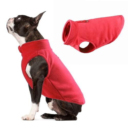 Haustier Kleidung, Hundekleidung, verdickte Feste Farbe, Fleece Haustier Hund Zubehör(rot,D Zahlung) von BCHAZCDE