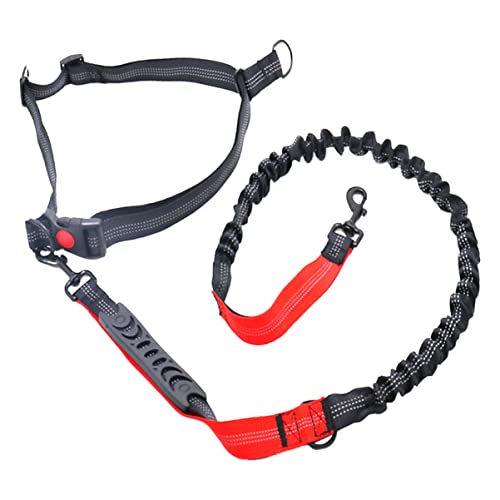 BCOATH 1 STK elastisches Laufseil Zugseil Leine Haustiertraining Hundespaziergang Bungee-Seil Heimtiertraining führen Hunde-Bungee Hundegeschirre Dog Lead hundeseile Bungee Seil rot von BCOATH