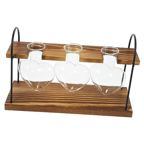 BCOATH Esstisch Deko 1 Satz Graceling Gracy Bürodekoration Wohnraumdeko Holzregal Einmachgläser Luftpflanzen Lebende Zimmerpflanzen Mit Halter Luftpflanzen Terrarium Wasserpflanzer Pflanzenhalter Glas von BCOATH