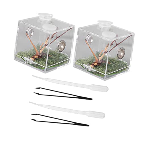 BCOATH 1 Satz Springspinnen-zuchtbox Springende Spinne Springspinnengehege Zubehör Spinnen-terrarium Spinnenfutterkoffer Insektenzuchtbox Spinnenterrarium Acryl Haustier Kleines Insekt von BCOATH