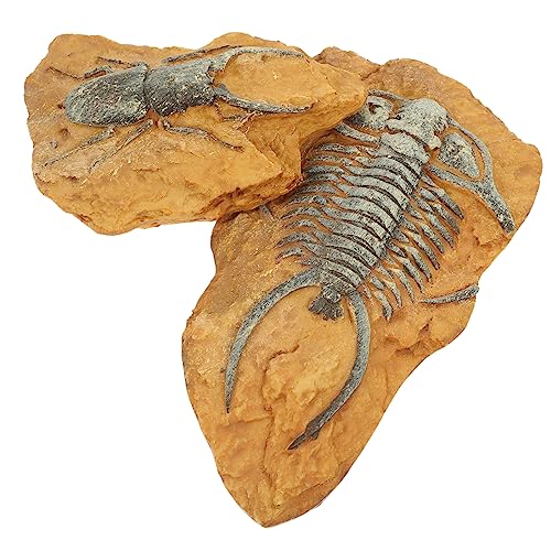 BCOATH 2Er-Box simuliertes Harzfossil für Reptilienbecken Sonnenplattform für Eidechsen Reptile Decor Terrarium Decor Spielzeug kriechende Reptiliendekore Landschaft für Wohnkultur von BCOATH